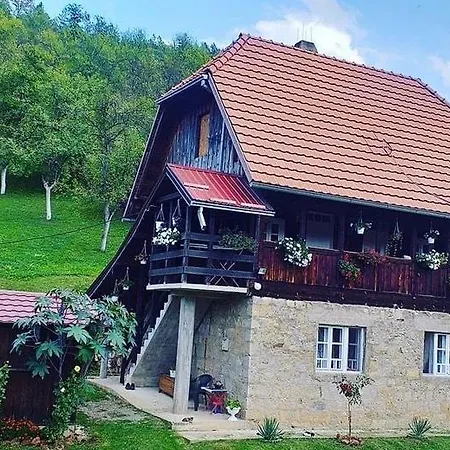 Brvnara * Mokra Gora