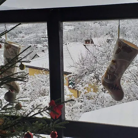 Brvnara Mokra Gora